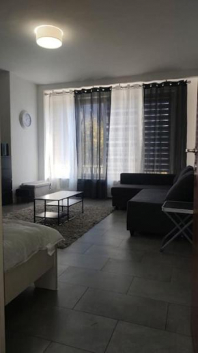 Pleasant apartment ready for you to enjoy